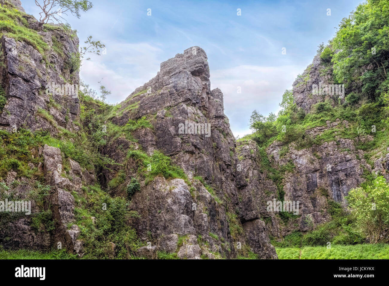 Les gorges de Cheddar, collines de Mendip, Somerset, England, UK Banque D'Images