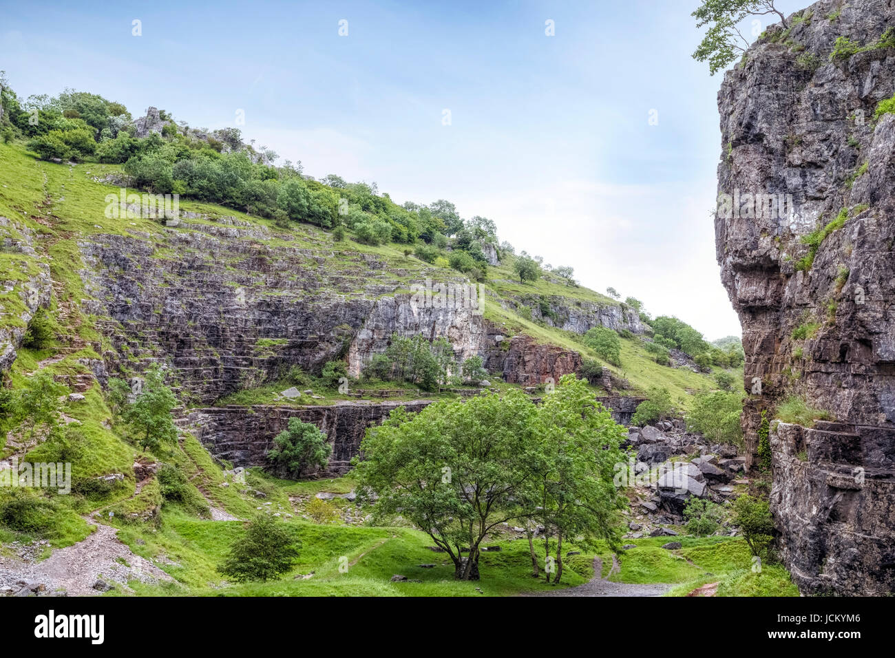 Les gorges de Cheddar, collines de Mendip, Somerset, England, UK Banque D'Images
