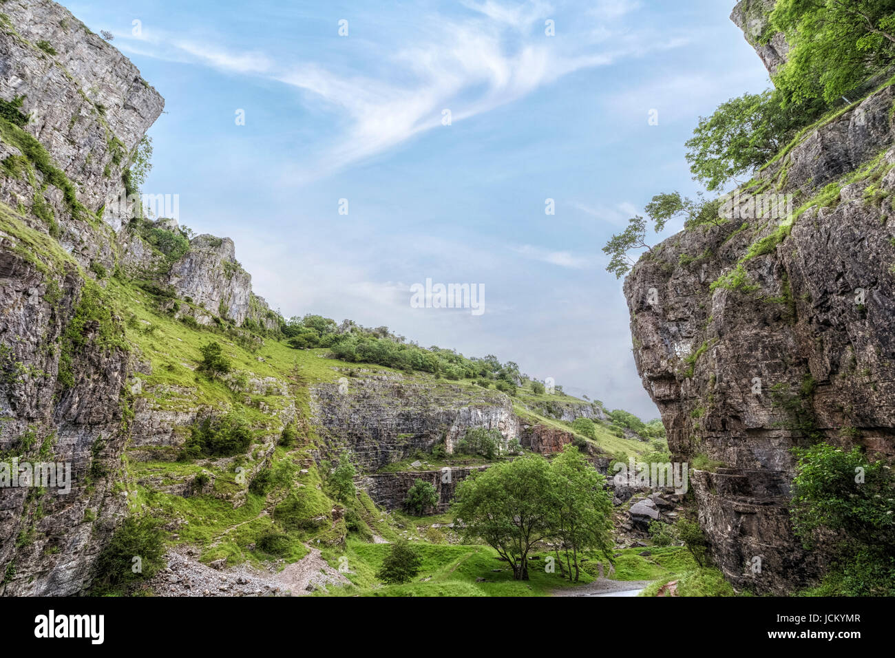 Les gorges de Cheddar, collines de Mendip, Somerset, England, UK Banque D'Images