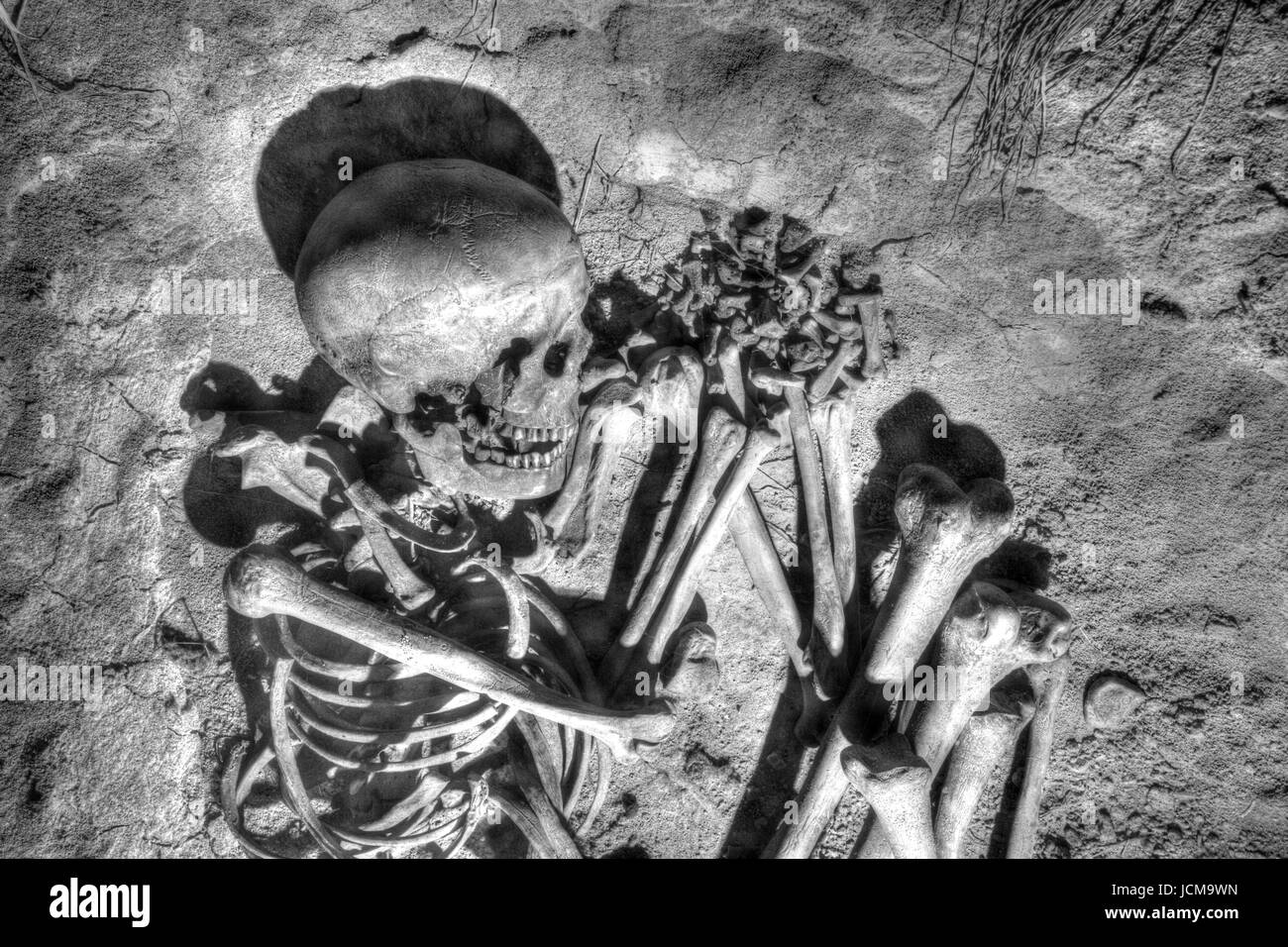 Musée historique Miasta dans le métro sur la place Rynek , Site du patrimoine mondial de l'UNESCO, Cracovie, Pologne petite, la Pologne, l'Europe Banque D'Images