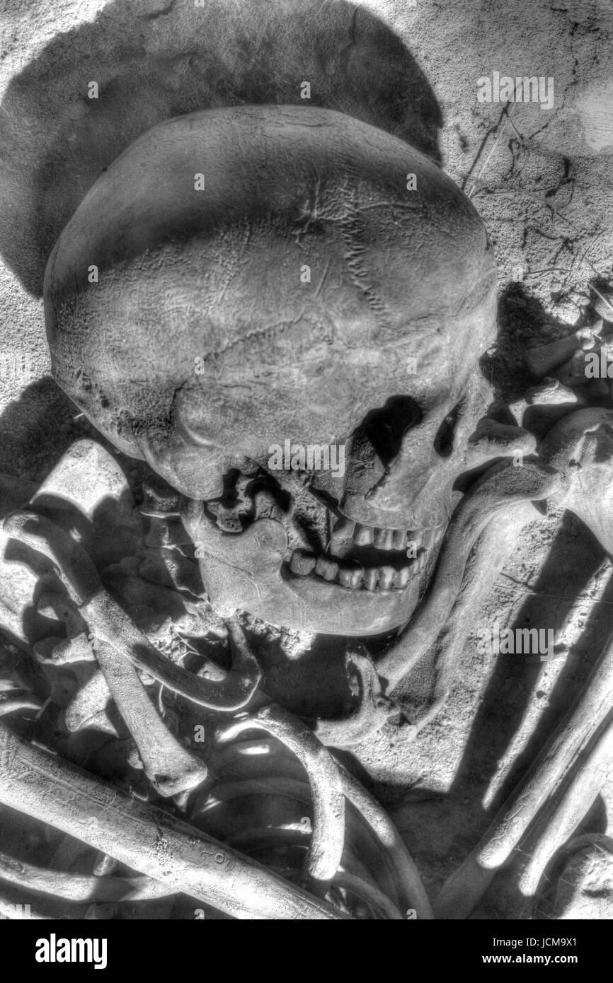 Musée historique Miasta dans le métro sur la place Rynek , Site du patrimoine mondial de l'UNESCO, Cracovie, Pologne petite, la Pologne, l'Europe Banque D'Images