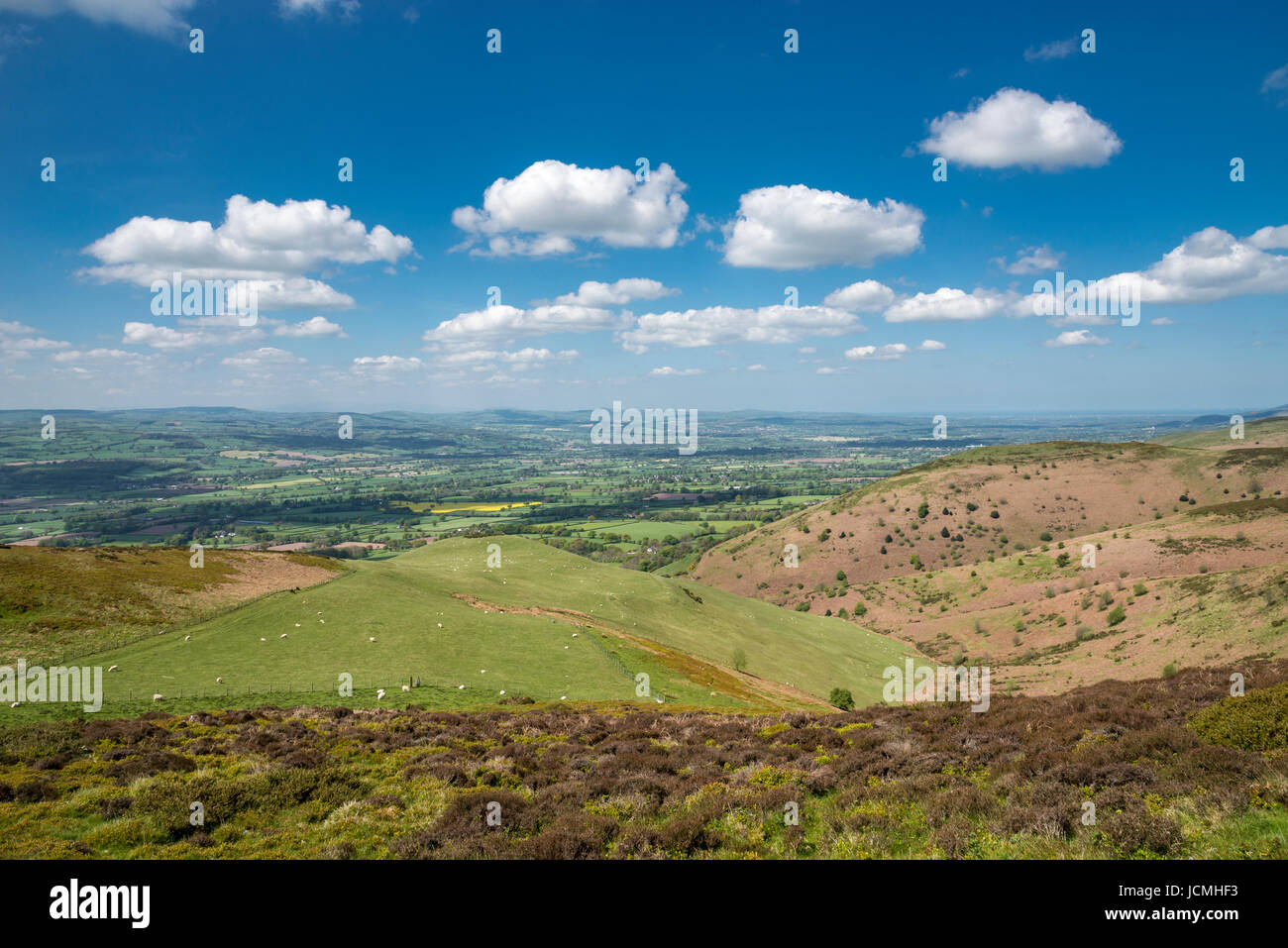 Une belle vue de Moel Famau Country Park dans le Clwydian range, au nord du Pays de Galles. Banque D'Images
