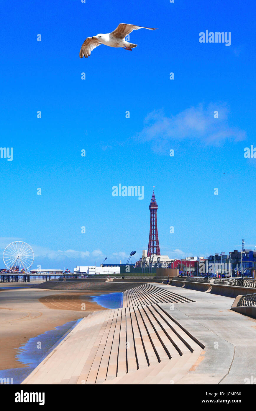 Mouette voler au-dessus de la tour de Blackpool et de la grande roue sur la jetée centrale dans une journée d'été avec ciel bleu vif Banque D'Images