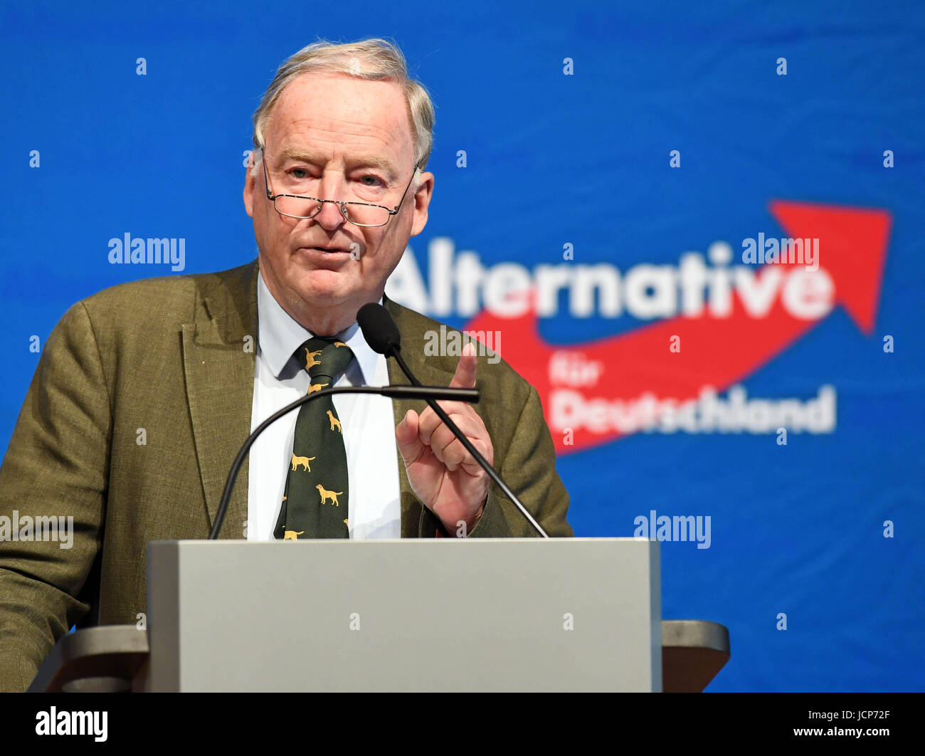 Karlsruhe, Allemagne. 17 Juin, 2017. Alexander Gauland, chef de l'Alternative pour l'Allemagne (AfD) partie pour les prochaines élections parlementaires du Bundestag allemand, prend la parole à l'État partie de la convention de Bade-wurtemberg l'AfD à Karlsruhe, Allemagne, 17 juin 2017. Photo : Uli Deck/dpa/Alamy Live News Banque D'Images