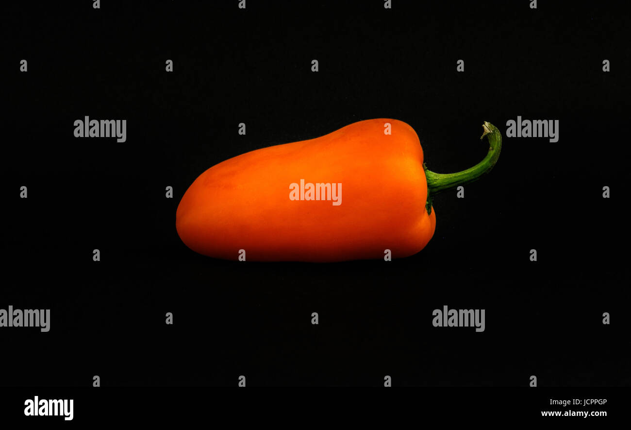 Mini poivron orange sur noir. Banque D'Images Mini poivron orange sur noir. Banque D'Images