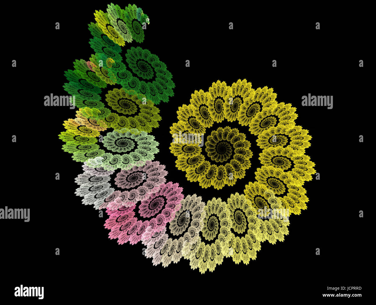 Résumé fractale spirale de fleurs sur fond noir Banque D'Images