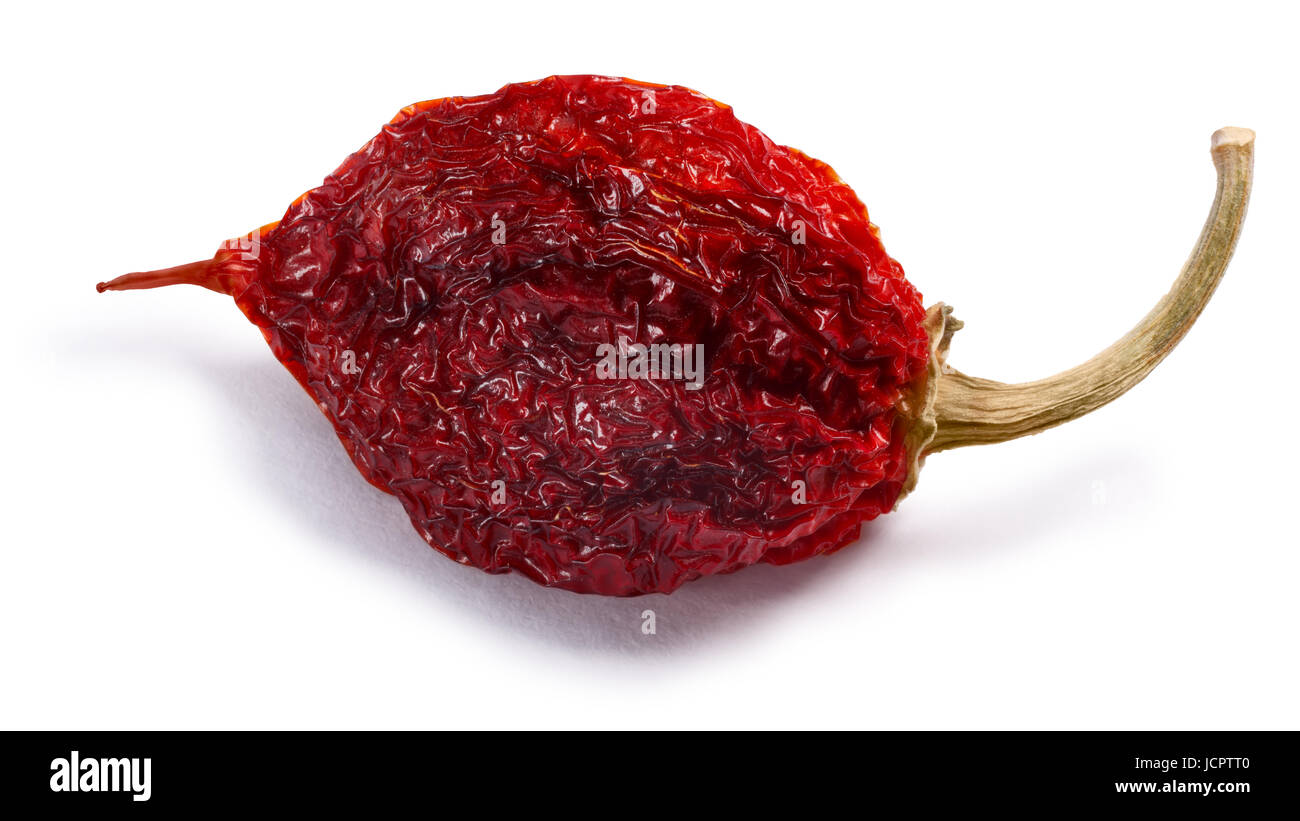 Le Habanero séchées (Capsicum chinense) chili pepper, ensemble de la gousse. Chemins de détourage, les ombres séparés Banque D'Images
