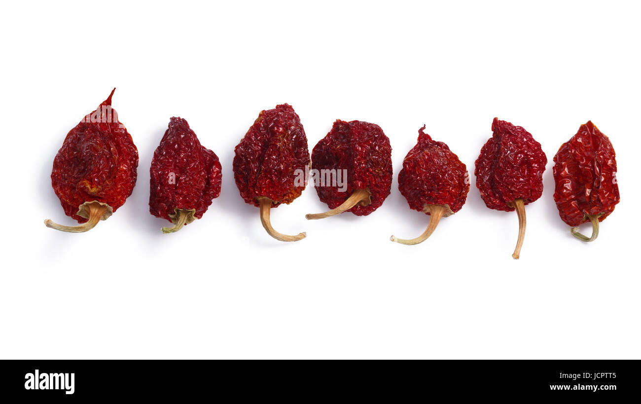 Le Habanero séchées (Capsicum chinense) Chili Peppers, gousses entières. Chemins de détourage, les ombres séparées, vue du dessus Banque D'Images
