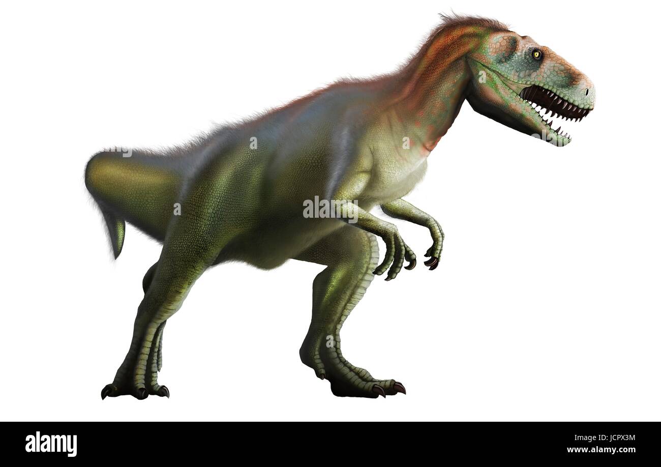 Megalosaurus est genre disparu les dinosaures carnivores, les théropodes,à partir de la période du Jurassique moyen en surface de 166 millions d'histoire,il y a des années.Il a vécu dans ce qui est maintenant le sud de l'Angleterre.Le premier fossile de dinosaure jamais trouvé,dès 1676,était probablement cuisse fragment qui appartenait à Megalosaurus.Cet animal a été moyennes théropode,6 à 7 m de long pesant environ une tonne.compréhension moderne est que megalosaurus peut avoir été couvert de plumes duveteuses,notamment le long de son dos le ventre. Banque D'Images