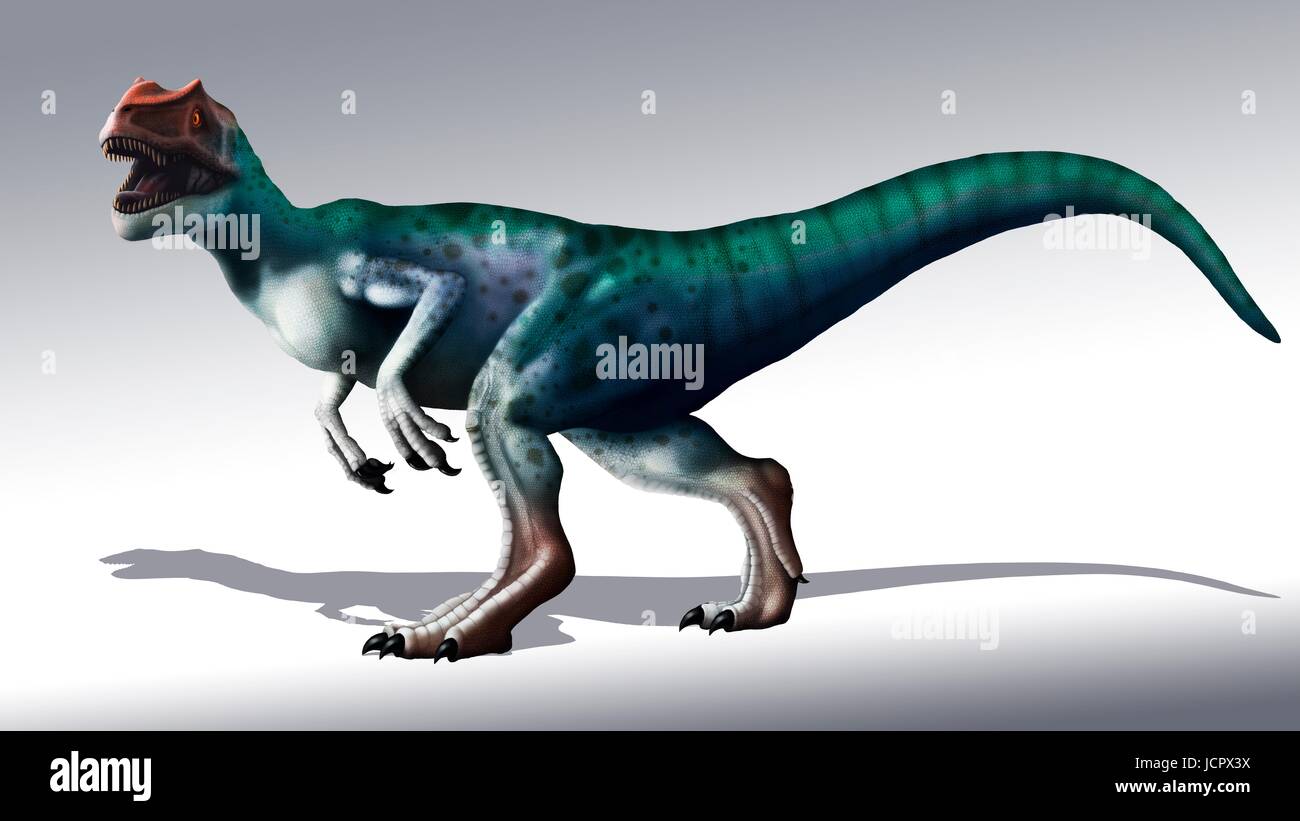 L'Allosaurus dinosaur, artwork. Allosaurs ont été grands théropodes carnivores qui vivait pendant le jurassique (150 à 155 millions d'années) en ce qui est maintenant l'Amérique du Nord. Ils étaient à deux pattes (bipède) prédateurs qui était en moyenne une hauteur de 8,5 mètres. Ils étaient les prédateurs de leur temps et ont été mentionnés comme le lion du Jurassique. Banque D'Images
