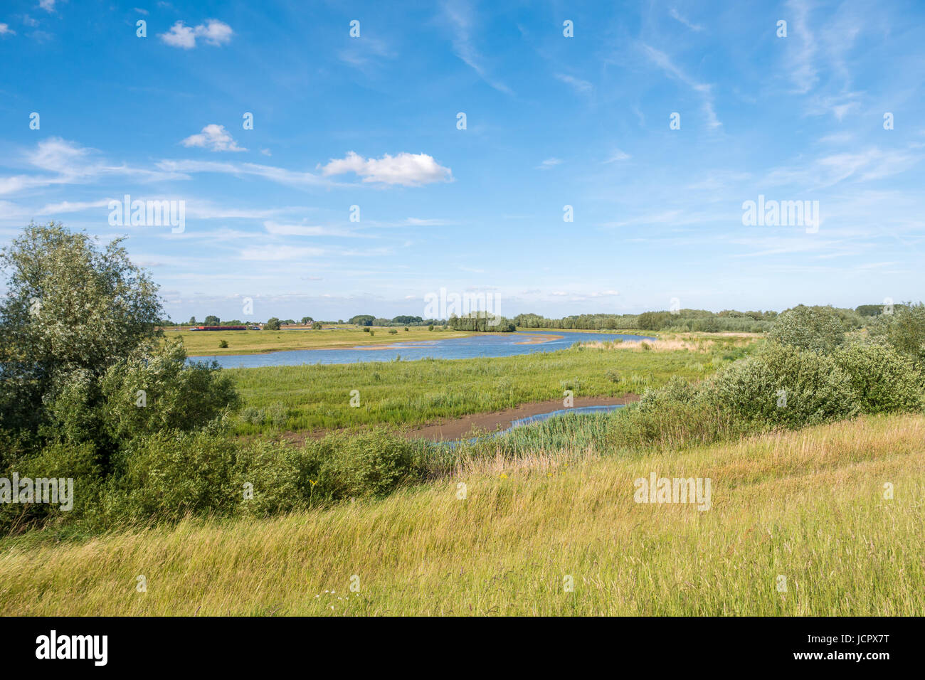 Panorama de l'Breemwaard la réserve naturelle dans les plaines inondables de la rivière Waal à partir de la digue sur la rive sud près de Nieuwaal, Bommelerwaard, Gueldre, Pays-Bas Banque D'Images