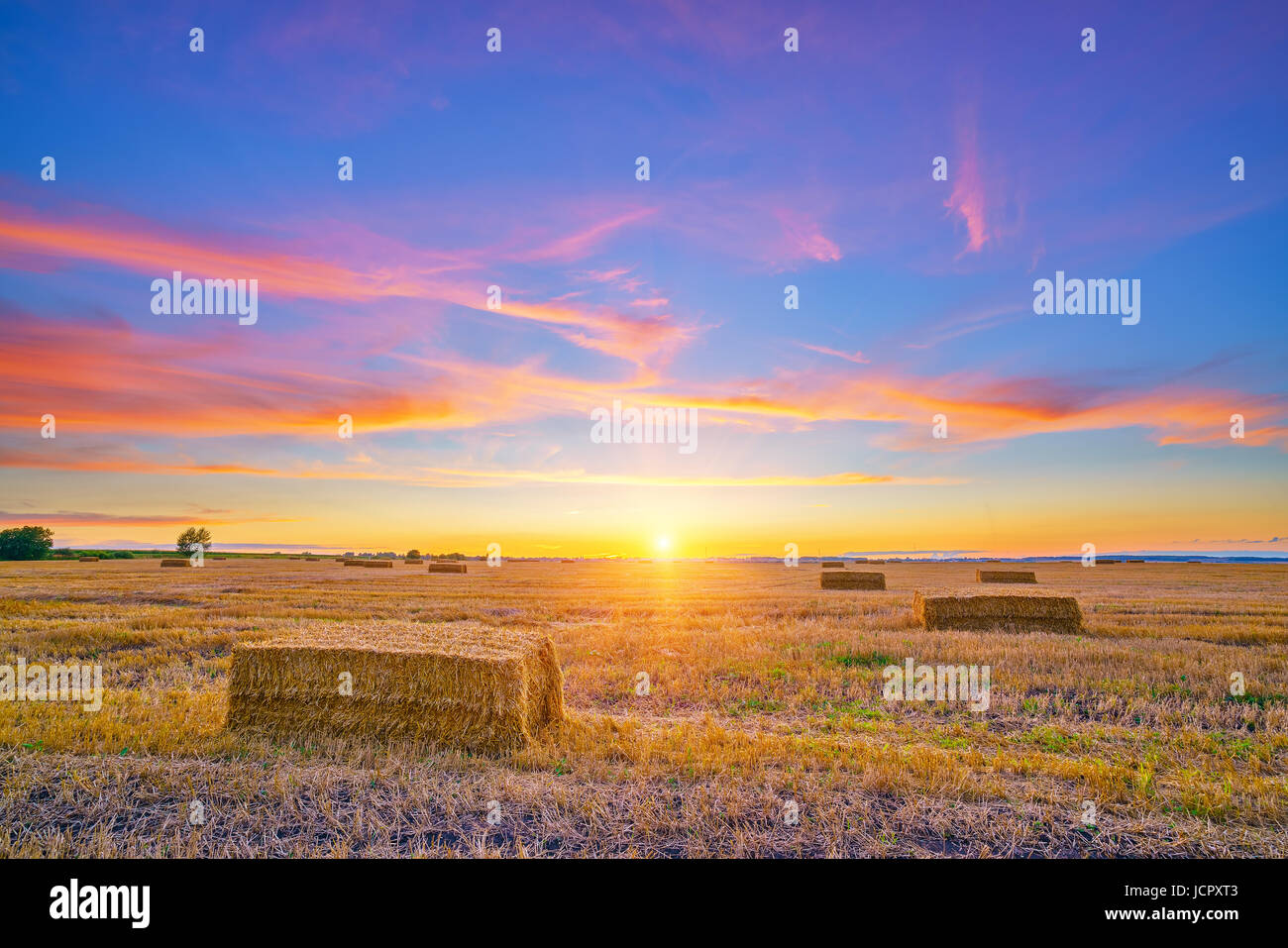 Les terres agricoles d'automne au coucher du soleil Banque D'Images
