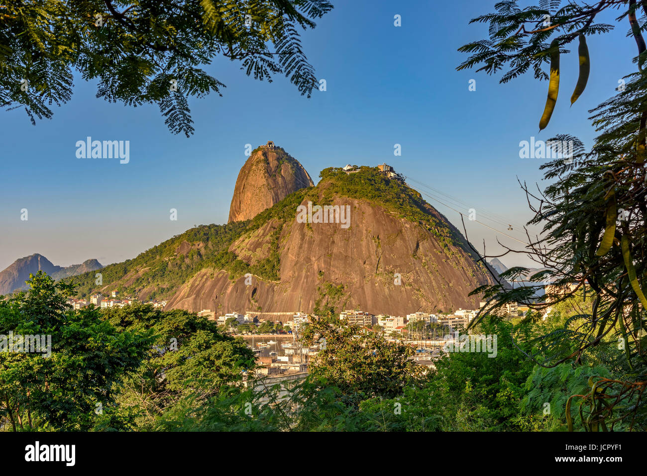 Pain de Sucre hill btween la forêt tropicale sur Rio de Janeiro Banque D'Images