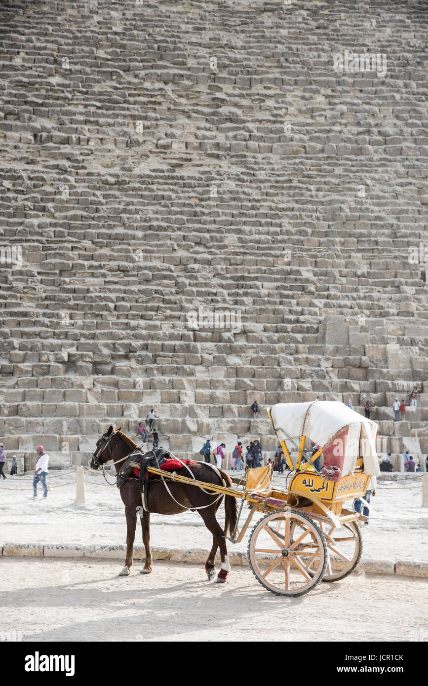 L'char, près de les grandes pyramides de Giza, Egypte Banque D'Images