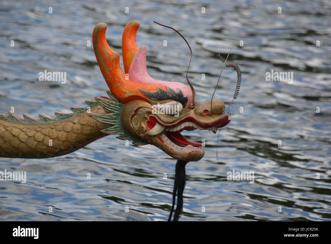 Marlow Dragon Boat courses sur la Tamise, Marlow, Buckinghamshire, Angleterre, Royaume-Uni Banque D'Images