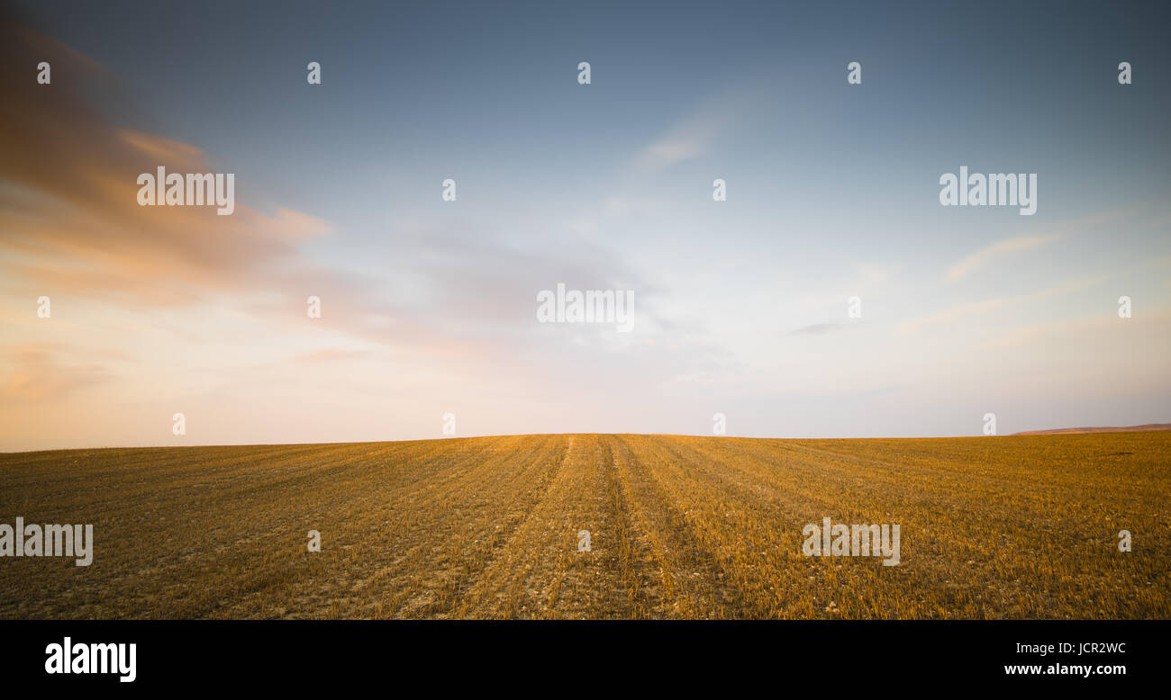 Paysage minimaliste avec prairie, champ de blé après la récolte pendant le coucher du soleil avec nuages orange Banque D'Images