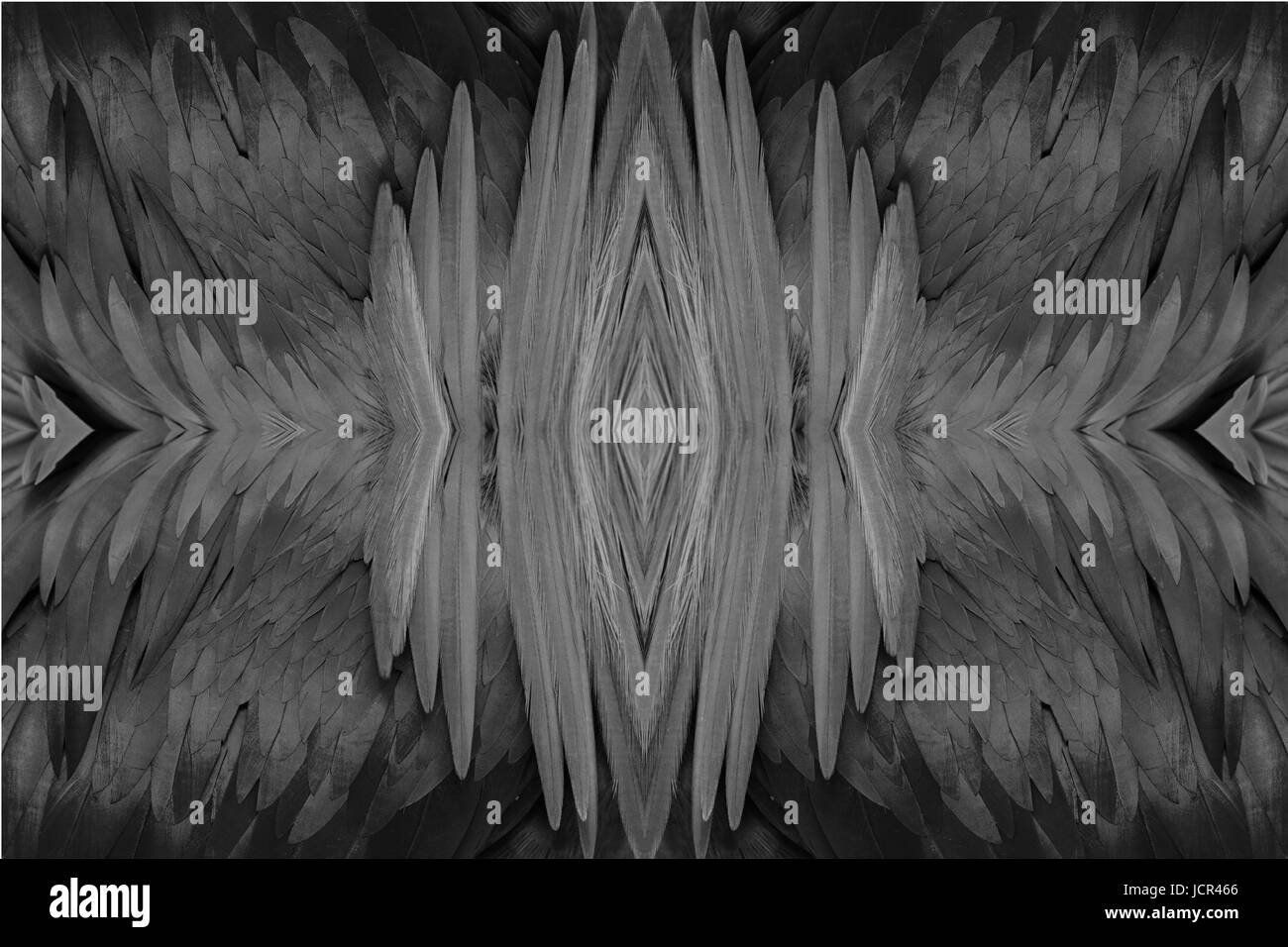 Belle femme Guinea Pigeon (Caloenas nicobarica) Comité permanent sur branch Banque D'Images