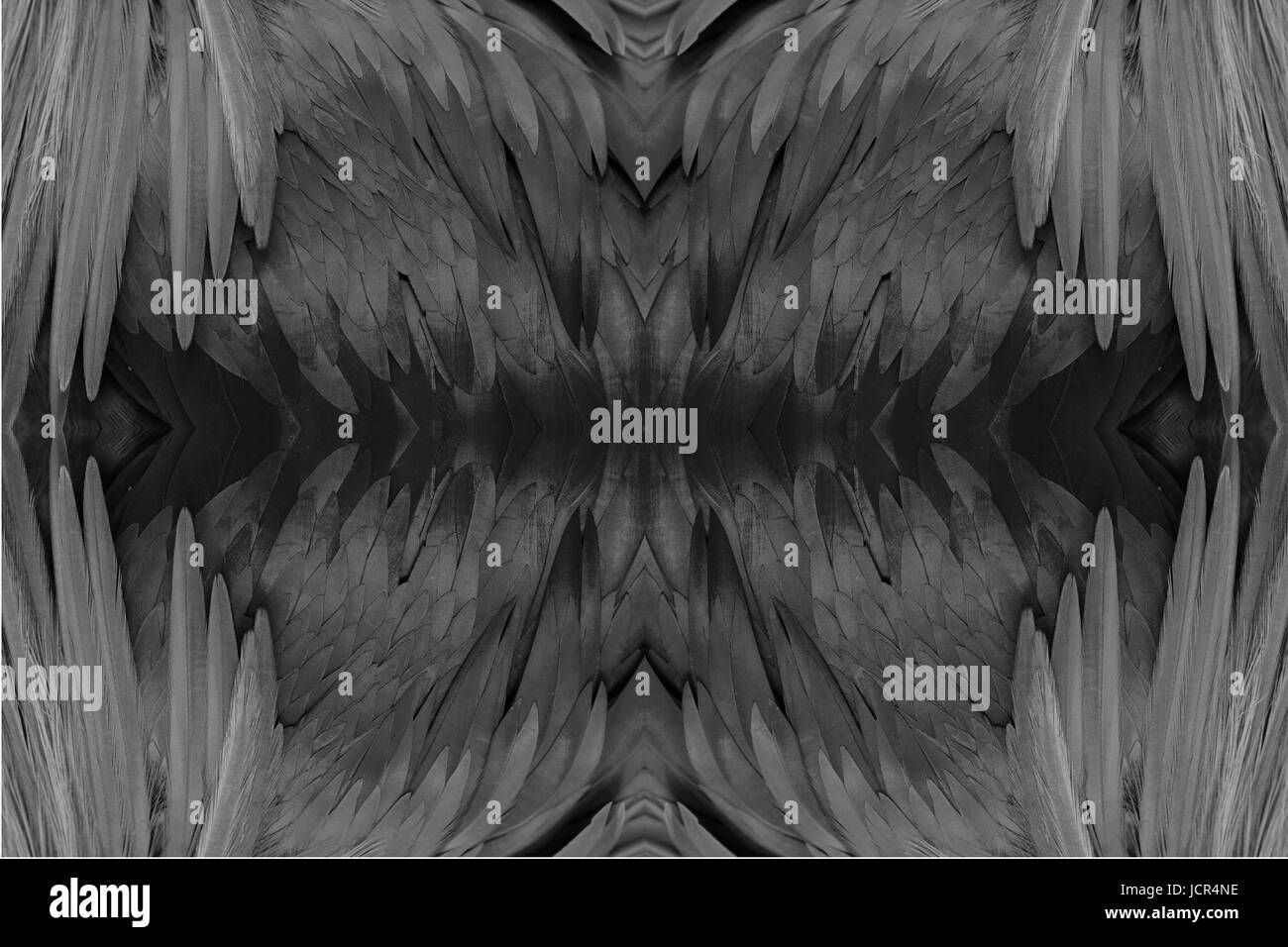 Belle femme Guinea Pigeon (Caloenas nicobarica) Comité permanent sur branch Banque D'Images