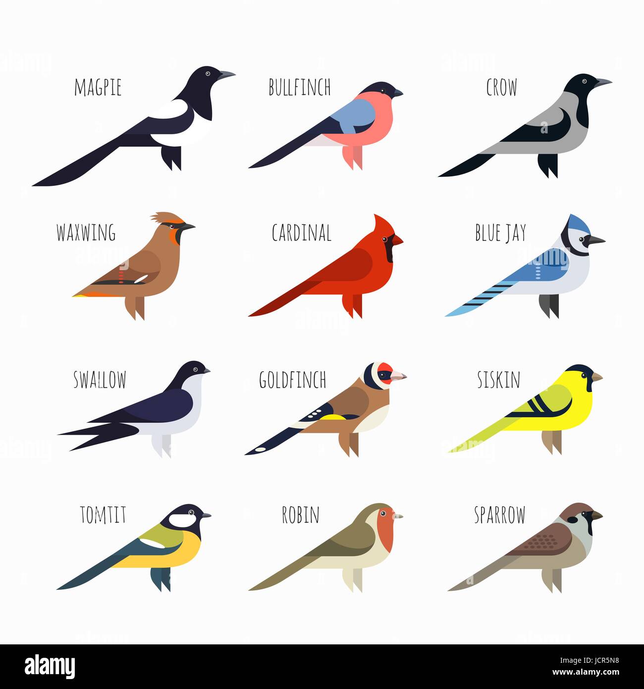 Vector set d'icônes d'oiseaux colorés. Le Cardinal, Magpie, Sparrow et avaler Illustration de Vecteur