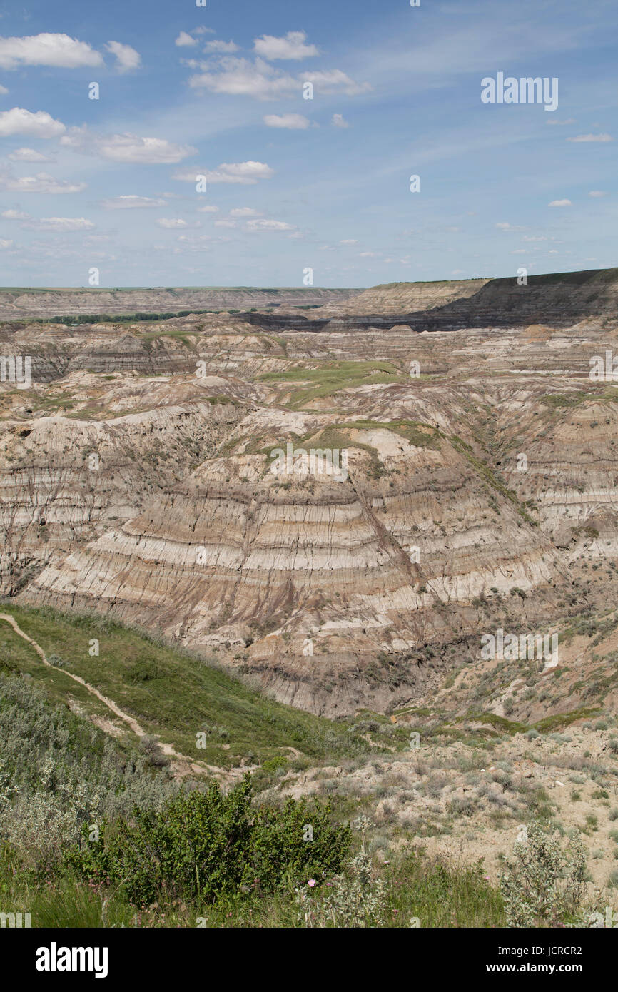 Exposés, dans les Badlands stratifiées de l'Alberta, près de Drumheller, au Canada. Banque D'Images