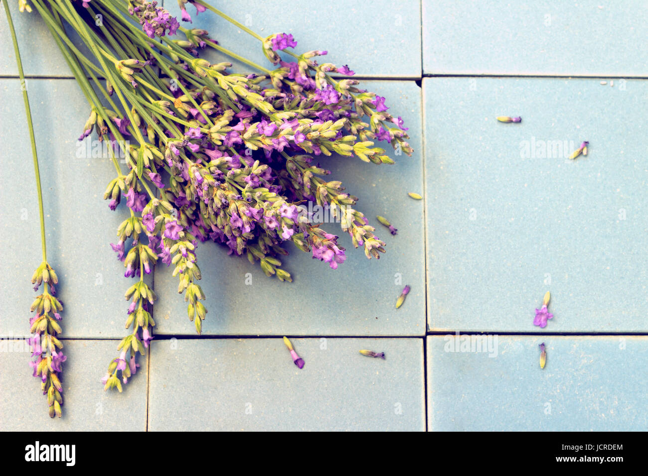 Un bouquet de fleurs bleu lavande sur carreaux de céramique. Look Vintage Banque D'Images