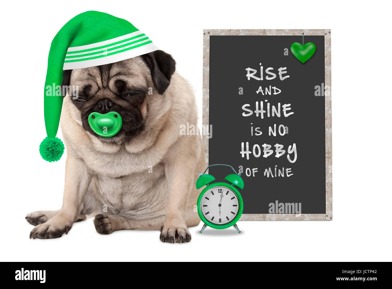 Se lever tôt le matin, petit chien pug grincheux avec capuchon de sommeil, réveil et signer avec texte Rise and Shine n'est pas de mes passe-temps, isolé sur blanc Banque D'Images