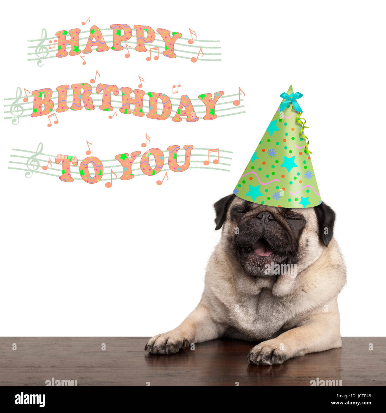 Cute Adorable Chiot Pug Dog Chanter Joyeux Anniversaire A Vous Isole Sur Fond Blanc Photo Stock Alamy Cute Adorable Chiot Pug Dog Chanter Joyeux Anniversaire A Vous Isole Sur Fond Blanc Photo Stock Alamy