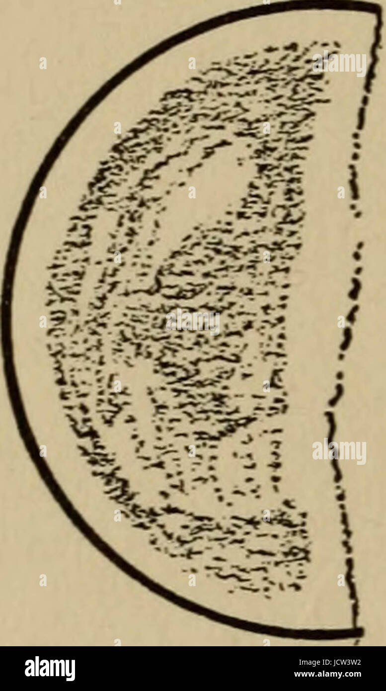 'Le livre des étoiles, d'être une simple explication des étoiles et leurs utilisations pour garçon life, écrit pour se conformer aux essais des boy scouts" (1915) Banque D'Images