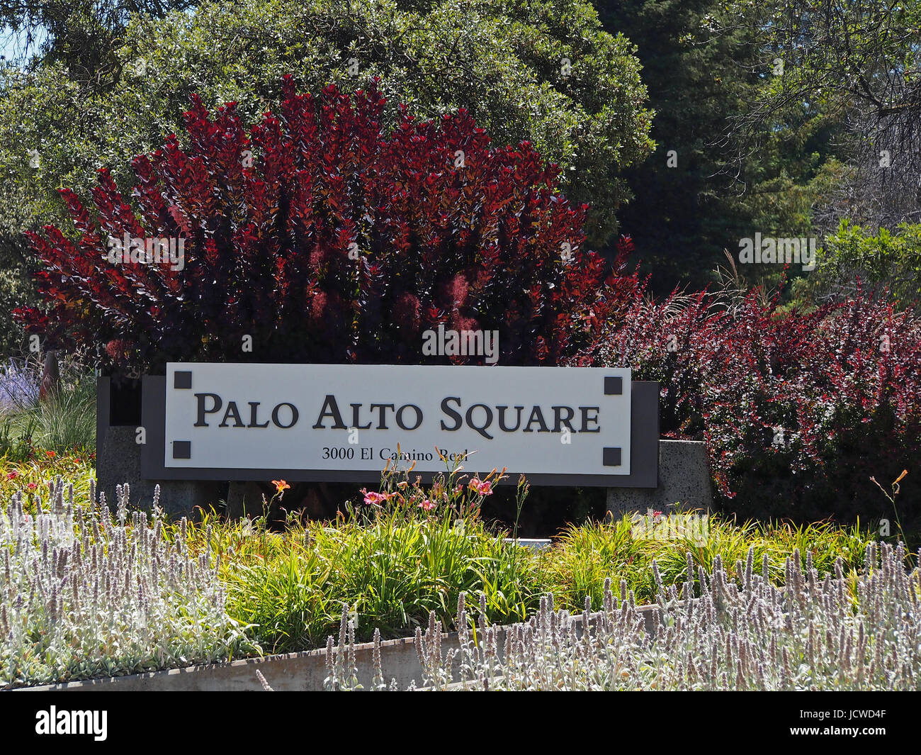 Palo Alto Square signe à El Camino et Page mill road. Santa Clara, CA Banque D'Images