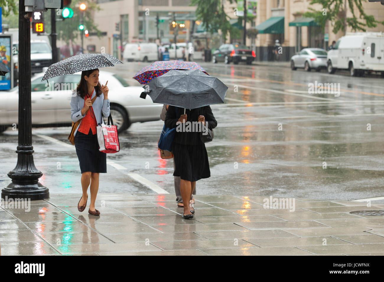 Femmes marchant avec parasols pendant un jour de pluie (woman holding umbrella) - Washington, DC USA Banque D'Images
