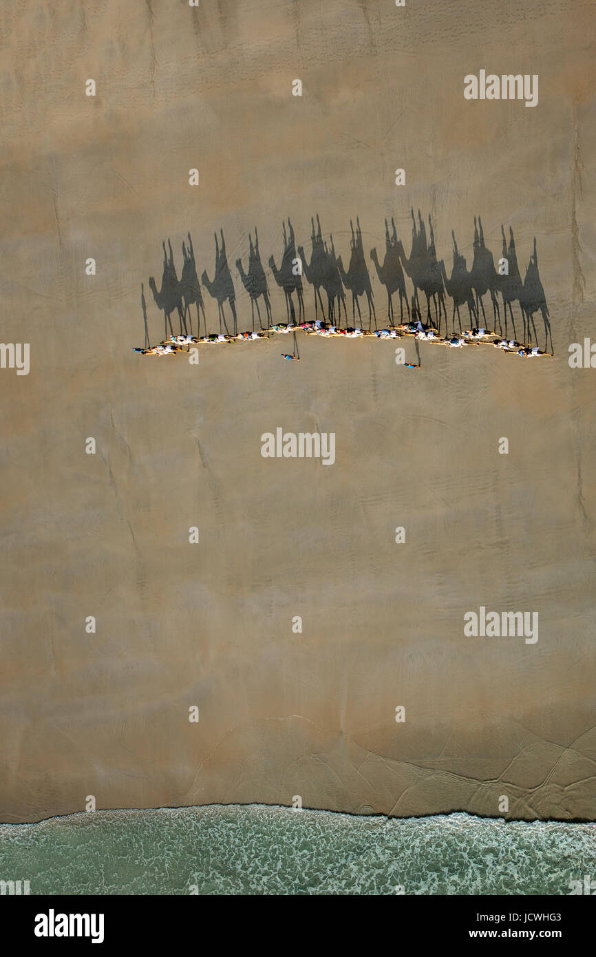 Train de chameaux sur Cable Beach, Broome, Australie occidentale Banque D'Images