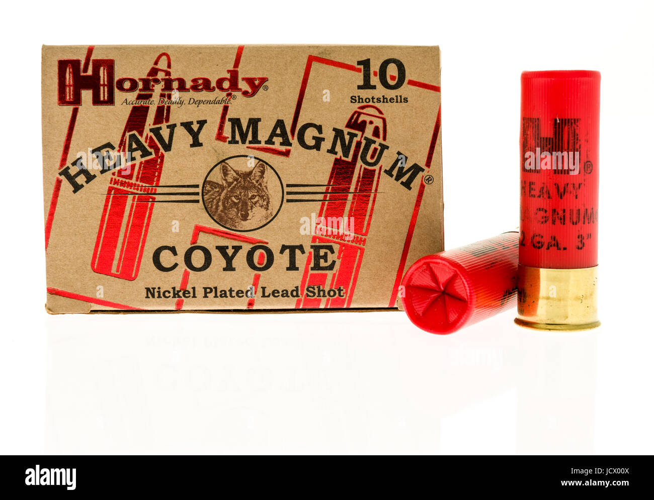 Winneconne, WI -11 juin 2017 : une boîte de munitions Hornady magnum lourds coyote sur un fond isolé Banque D'Images