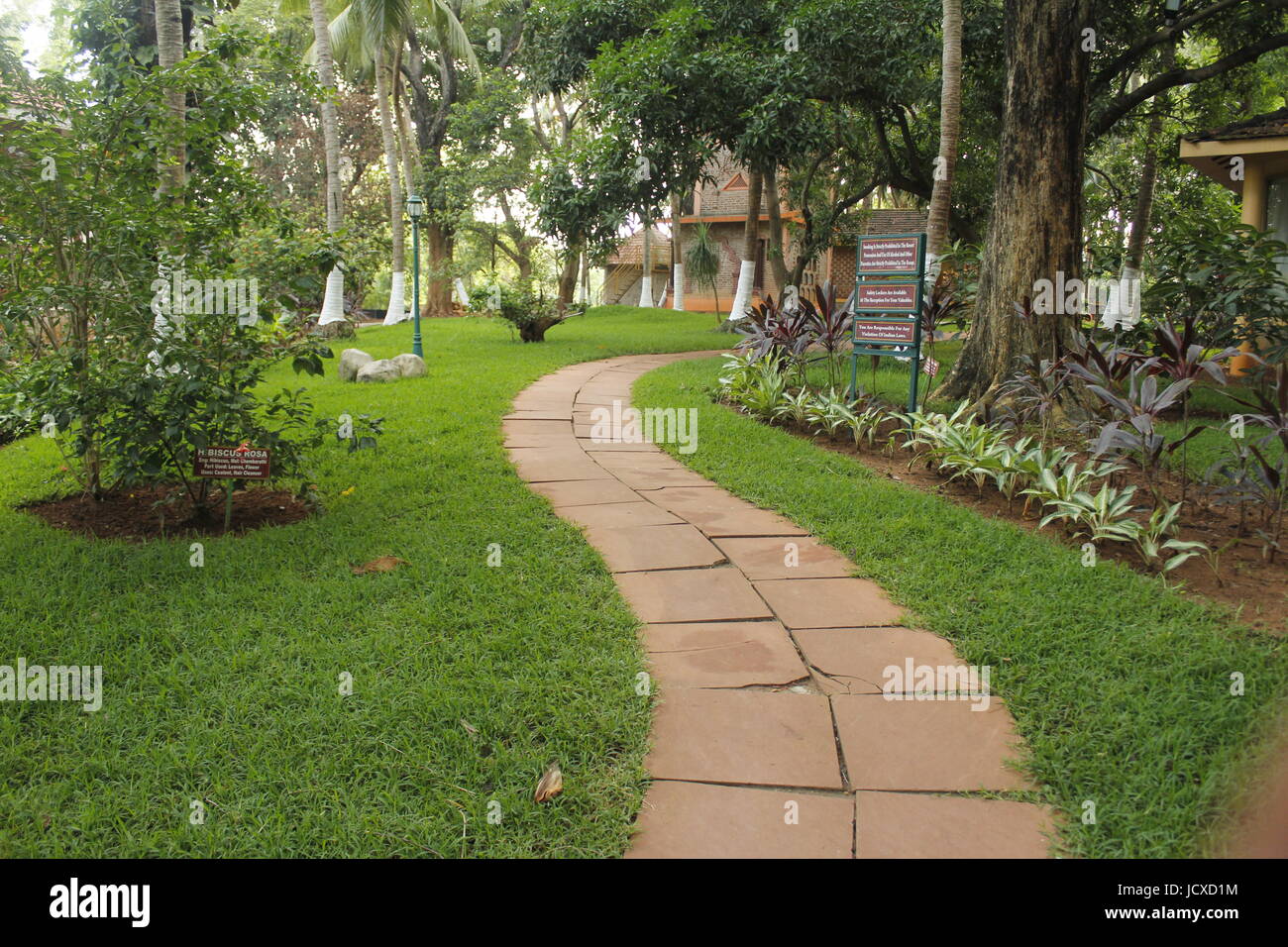 Voie à suivre à l'Kairali ayurvedic healing village, Kerala, Inde Banque D'Images