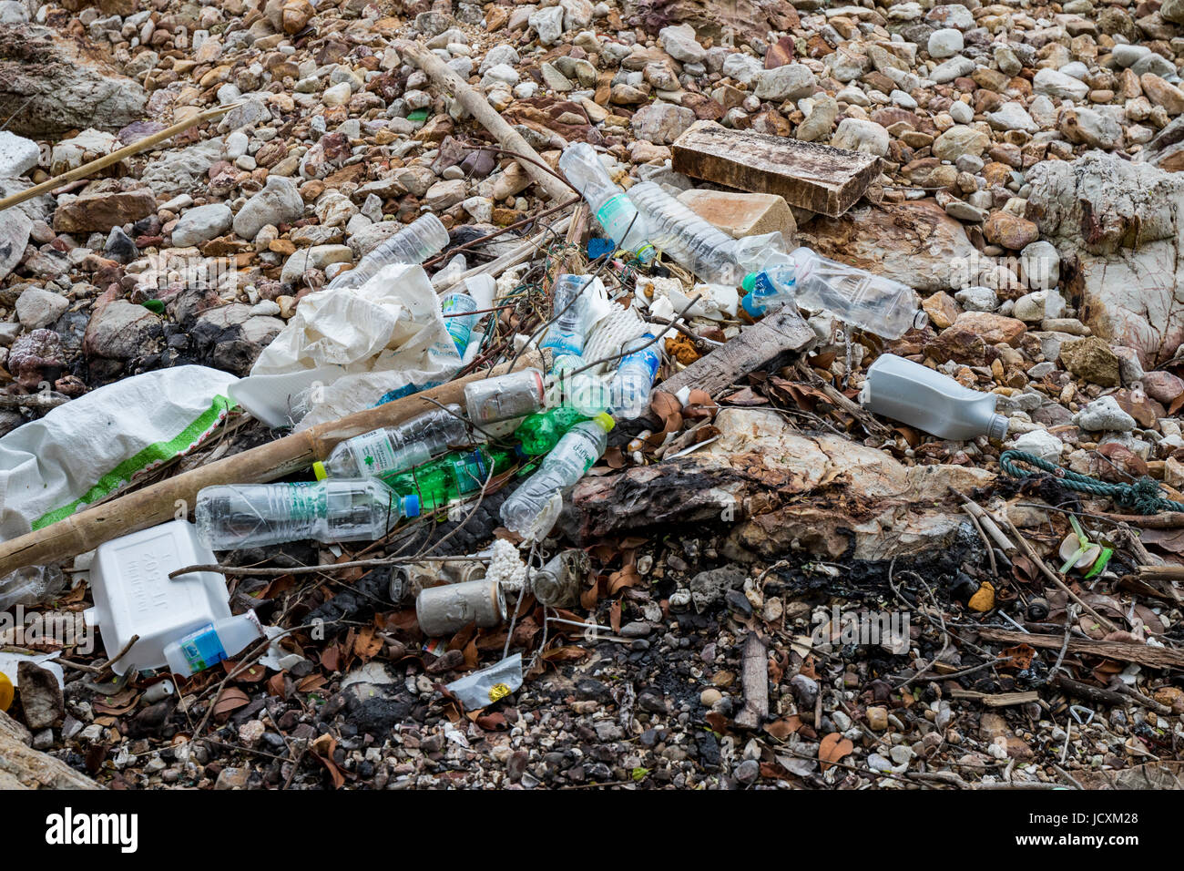 Dans l'océan de détritus rejetés sur la plage Banque D'Images