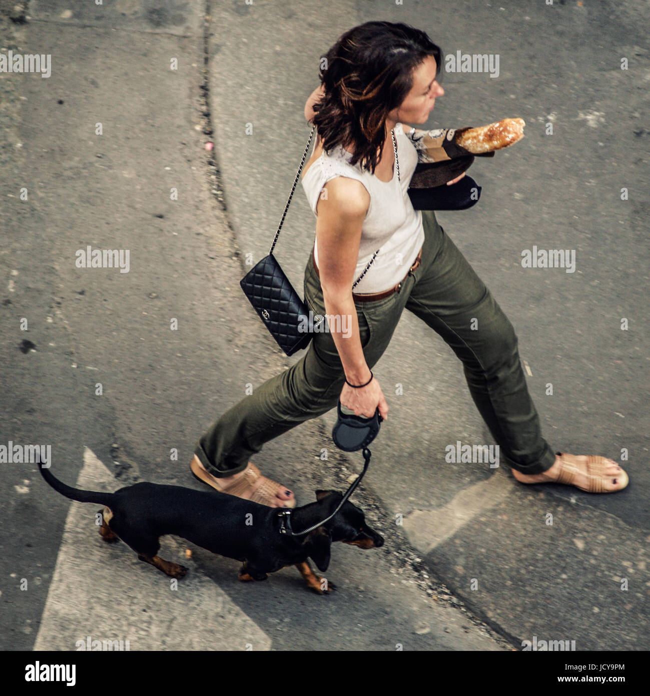 PARIS FRANCE - FEMME AVEC SON CHIEN ET BAGUETTE - PARIS FEMME - STREET PHOTOGRAPHY © Frédéric Beaumont Banque D'Images