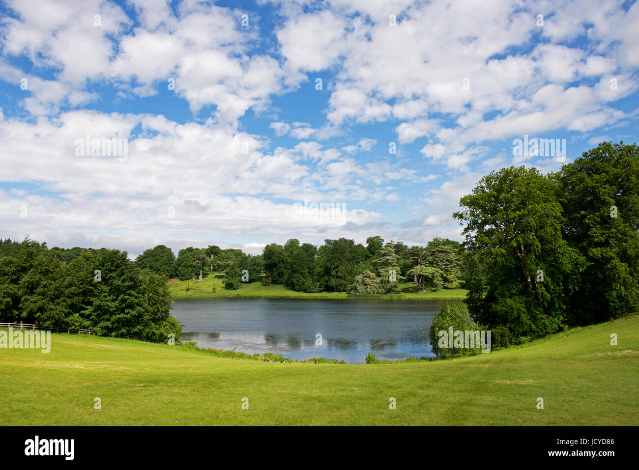 Parkland à Blenheim Palace, Woodstock, Oxfordshire, UK Banque D'Images