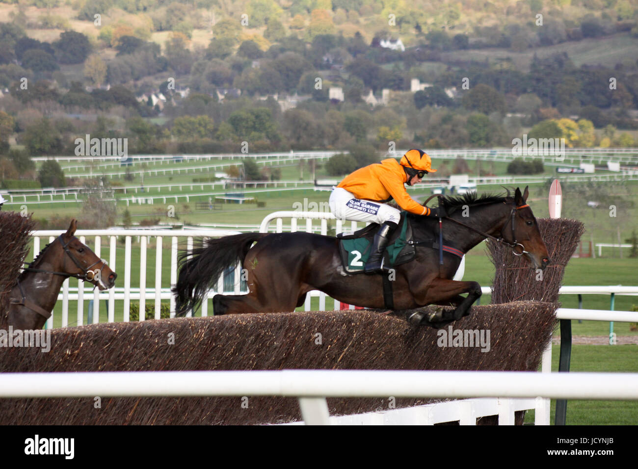 Courses hippiques à l'hippodrome de Cheltenham Banque D'Images