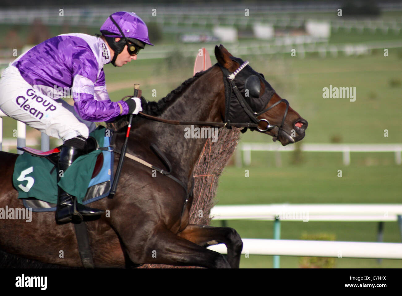 Courses hippiques à l'hippodrome de Cheltenham Banque D'Images