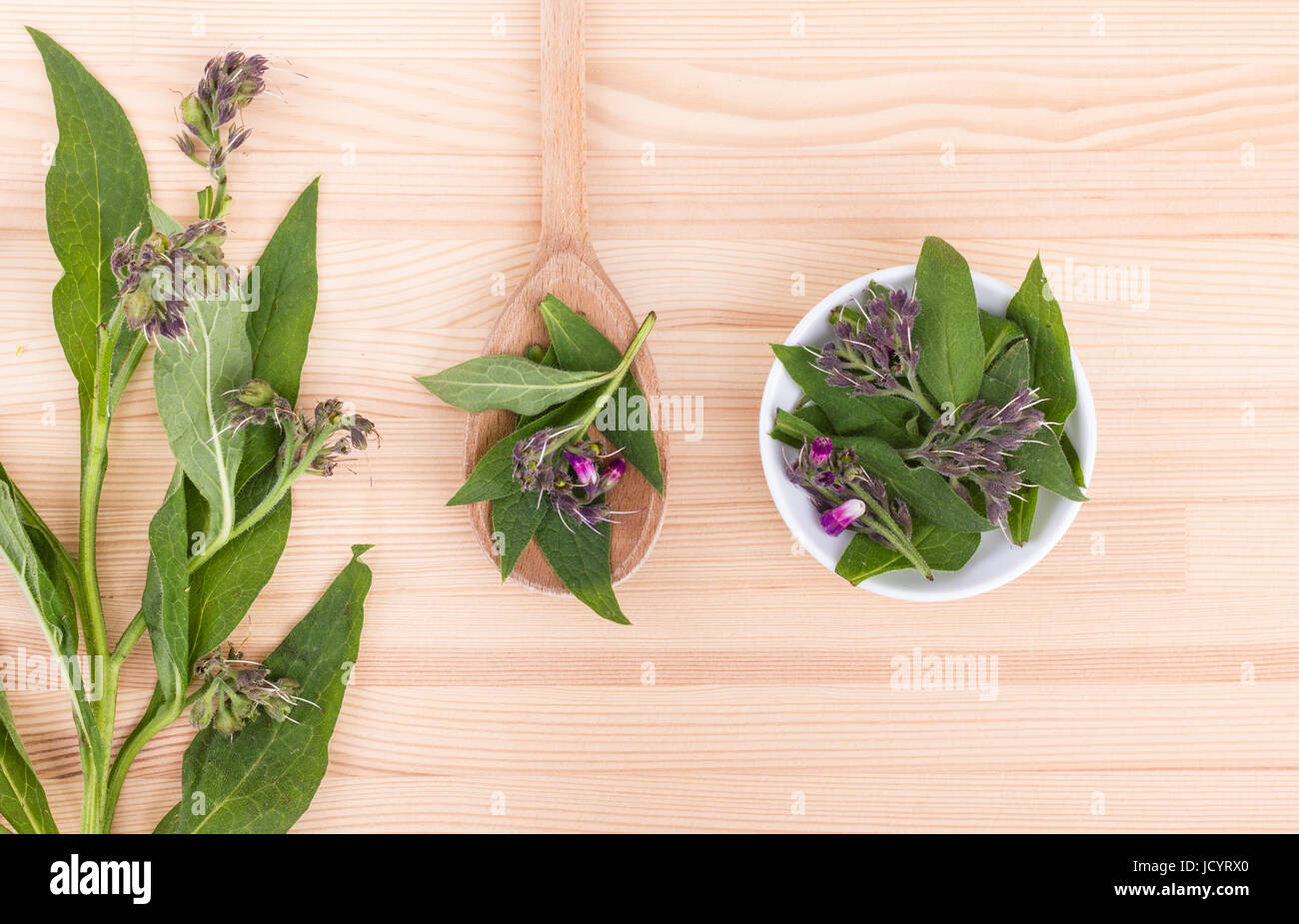 Avec une cuillère et la consoude plante consoude Banque D'Images