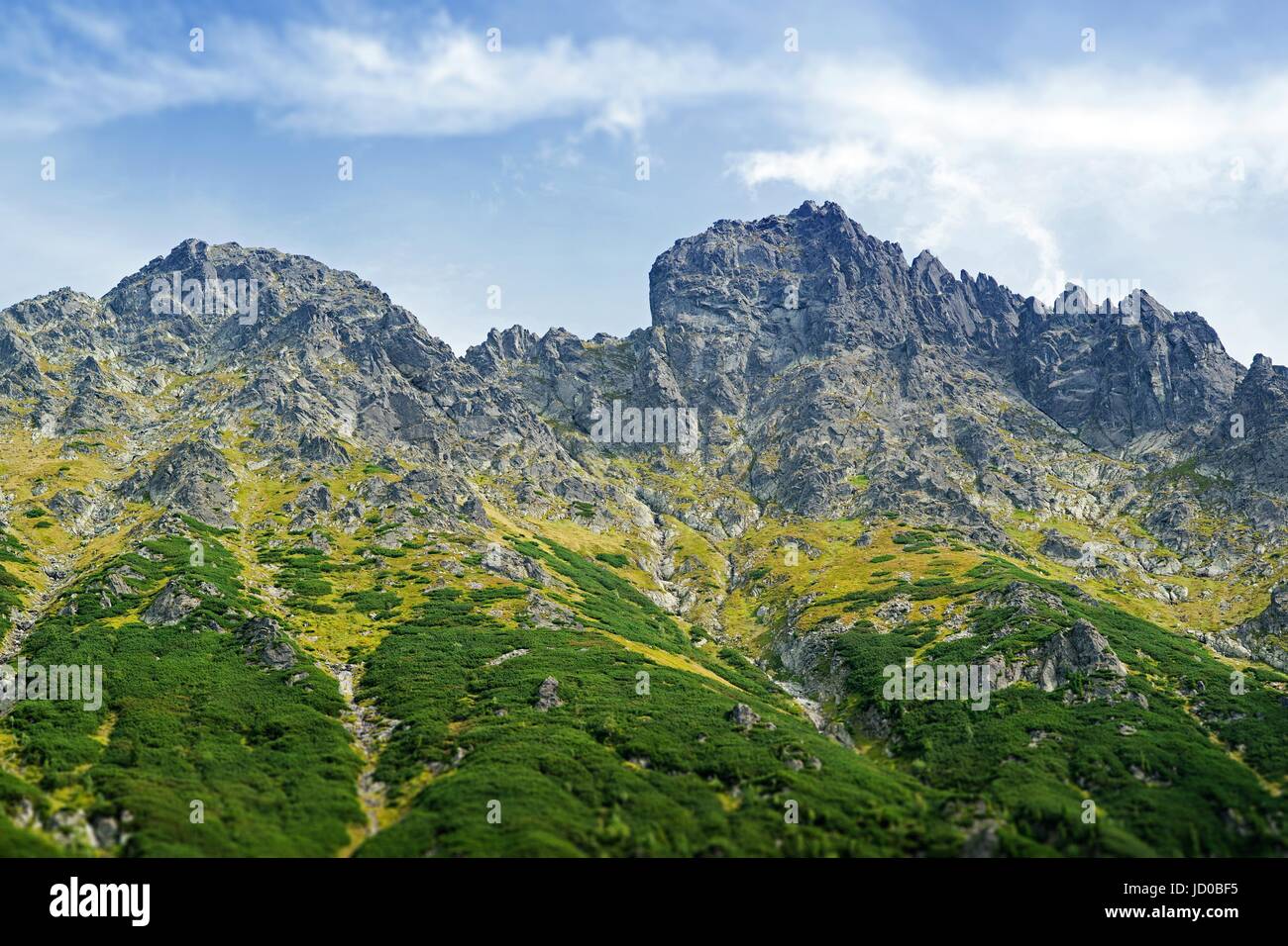Paysages de montagnes de Tatra. Paysage alpin pittoresque. Zakopane, Pologne. Banque D'Images