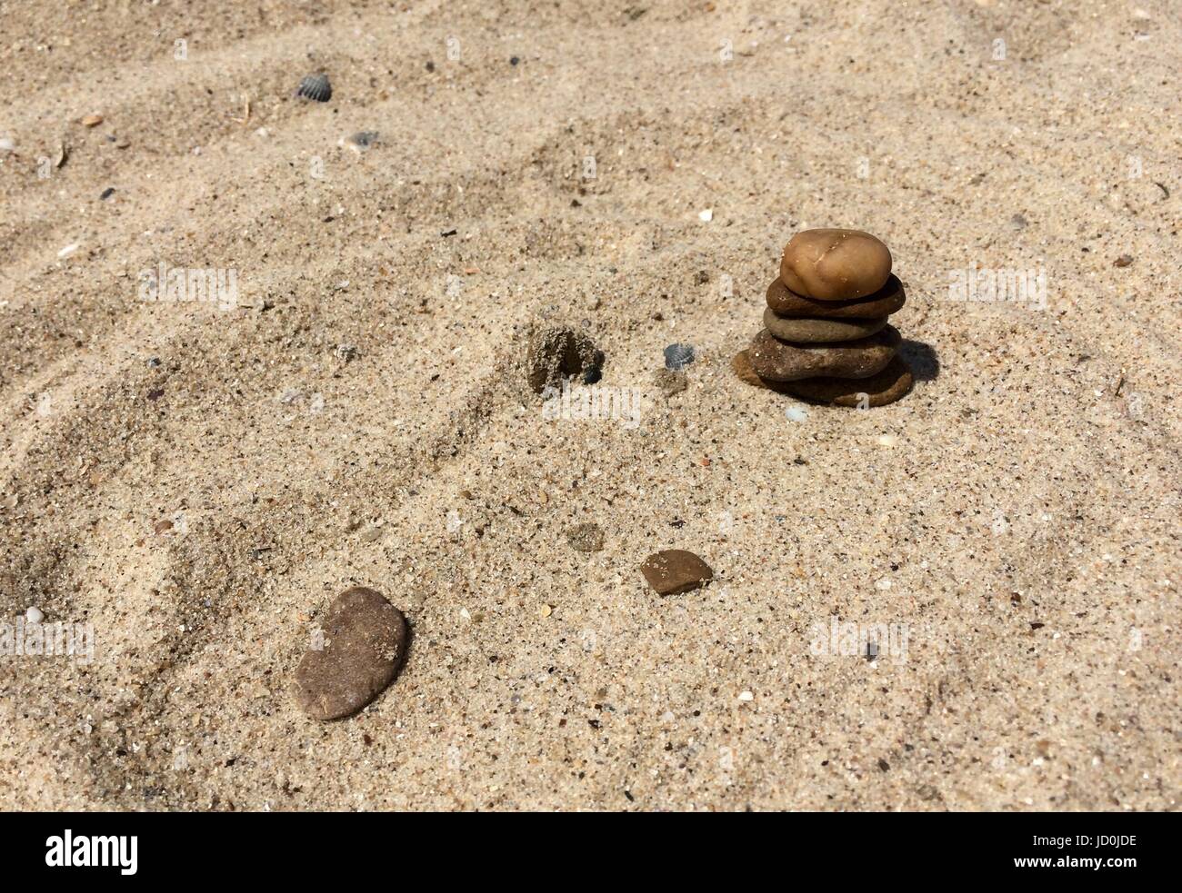 Pierres et de coquillages multicolores sur un sable Banque D'Images