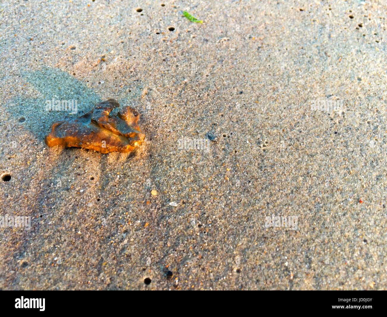 Pierres et de coquillages multicolores sur un sable Banque D'Images