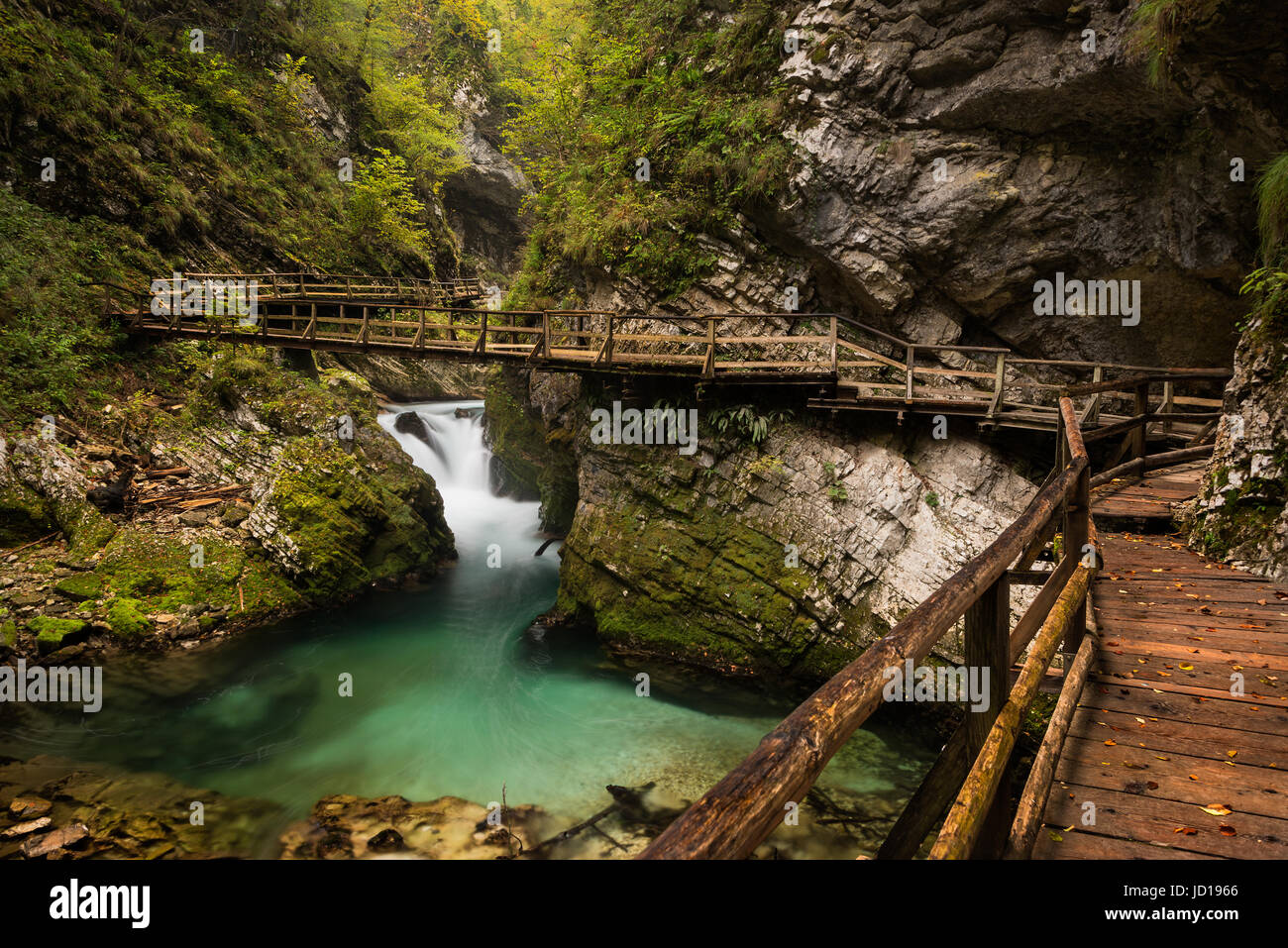 Passerelle en bois par l'intermédiaire de gorges de Vintgar canyon avec un pont au-dessus de l'eau du ruisseau dans les montagnes près de Bled en Slovénie. Banque D'Images