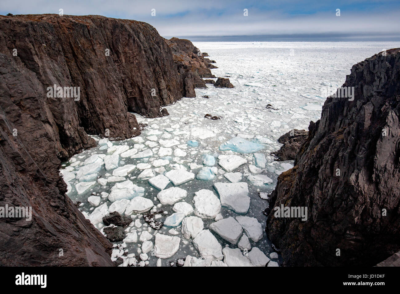 Côte sauvage, la mer, les piles et la glace de mer à Spillars Cove, près de la péninsule de Bonavista, cap Bonavista, Terre-Neuve, Canada Banque D'Images