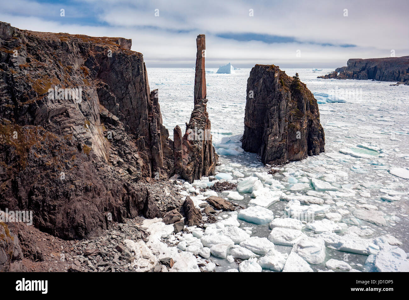 Côte sauvage, la mer, les piles et la glace de mer à Spillars Cove, près de la péninsule de Bonavista, cap Bonavista, Terre-Neuve, Canada Banque D'Images