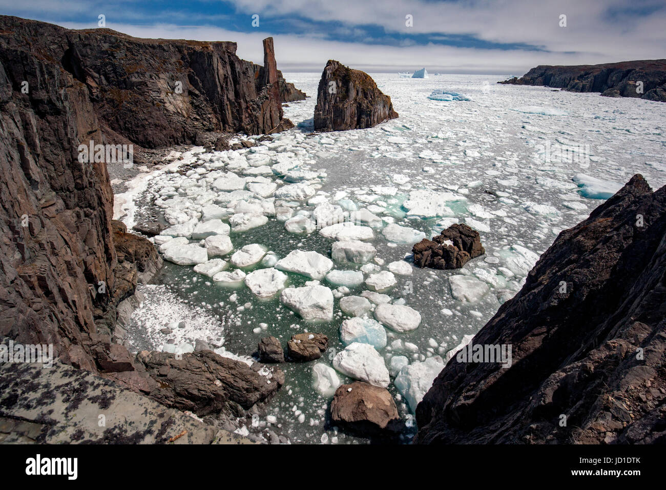 Côte sauvage, la mer, les piles et la glace de mer à Spillars Cove, près de la péninsule de Bonavista, cap Bonavista, Terre-Neuve, Canada Banque D'Images