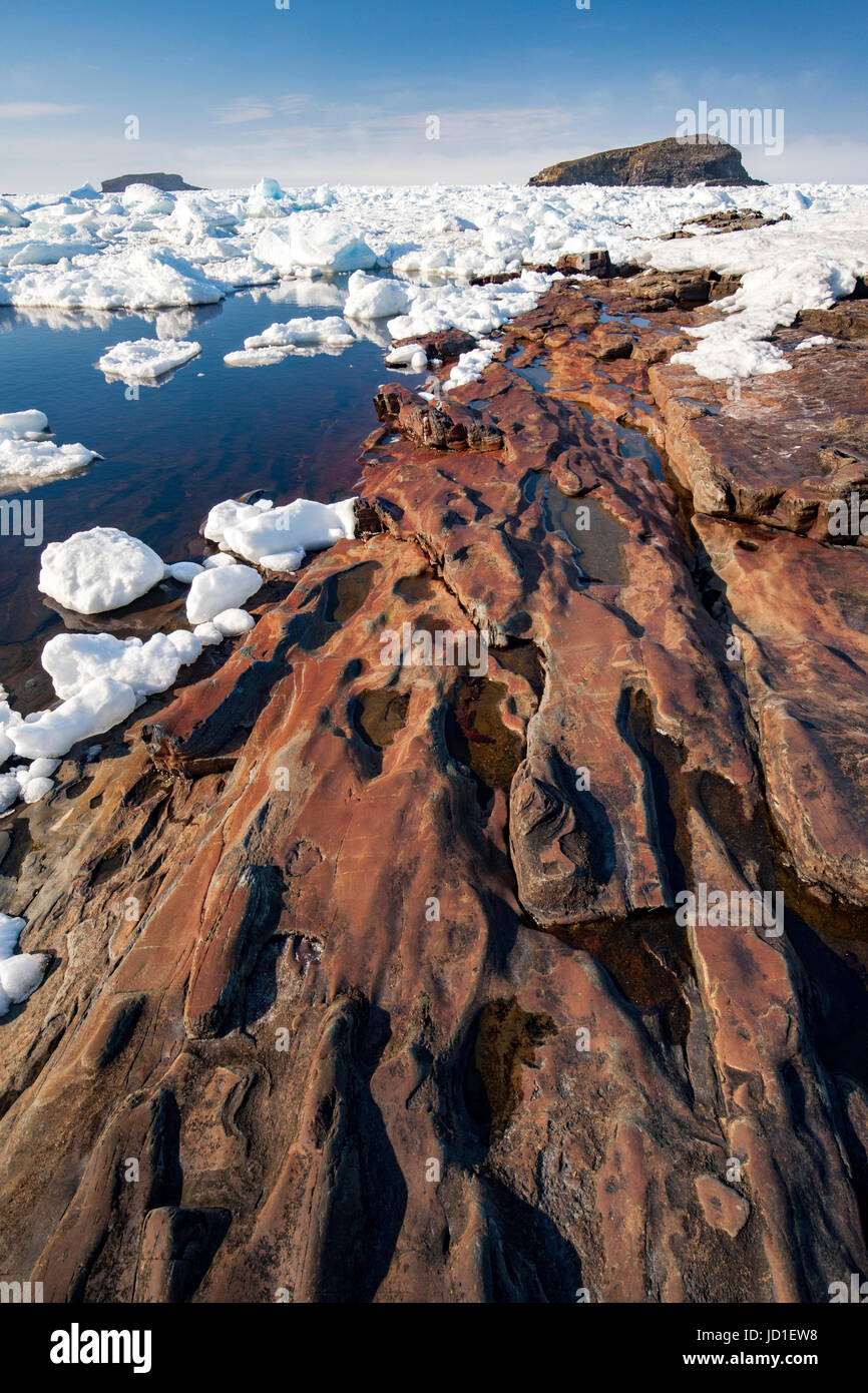 Côte Rocheuse et la glace de mer paysage de Maberly, près d'Elliston sur Cap Bonavista, Terre-Neuve, Canada Banque D'Images