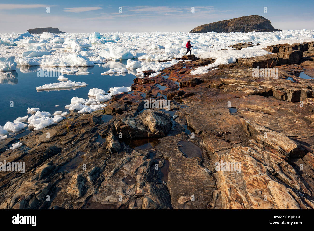 Personne qui marche sur la côte rocheuse et la glace de mer dans Maberly, près d'Elliston sur Cap Bonavista, Terre-Neuve, Canada Banque D'Images