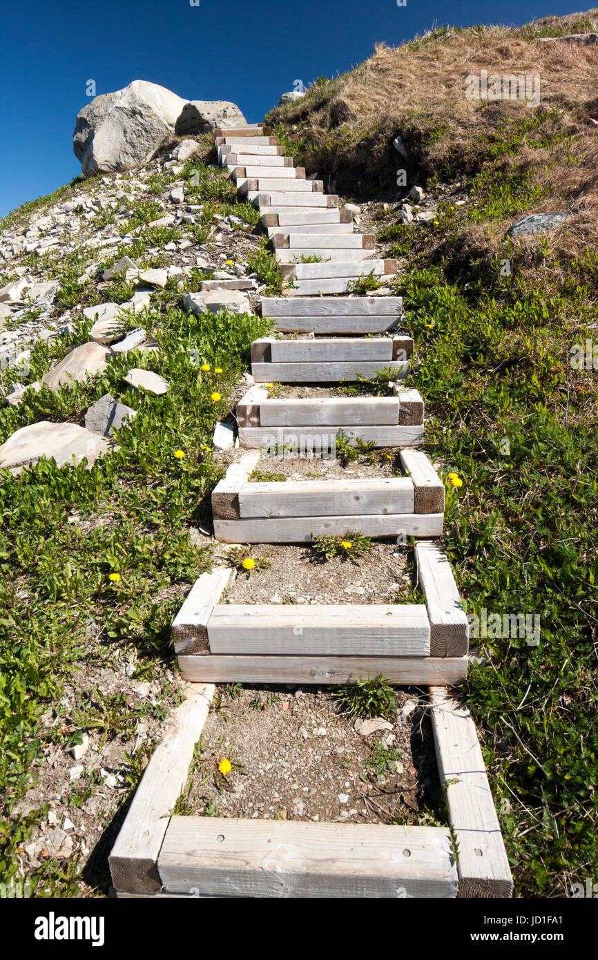 Un escalier en bois à Green Point, le parc national du Gros-Morne, à Terre-Neuve, Canada Banque D'Images