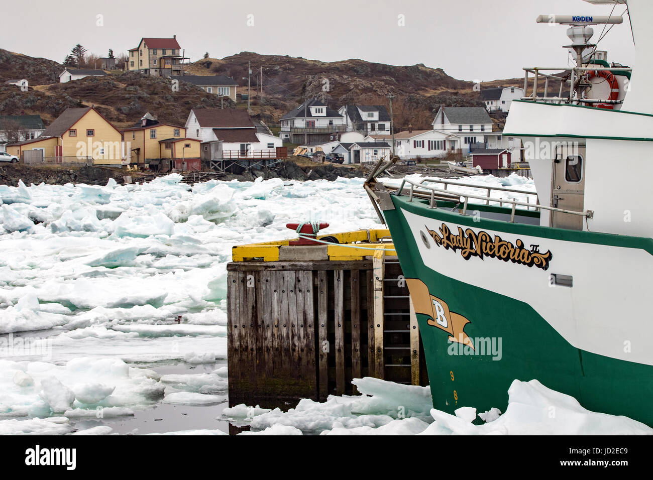 Les bateaux de pêche et la glace de mer dans le port de Twillingate - Twillingate, Newfoundland, Canada Banque D'Images